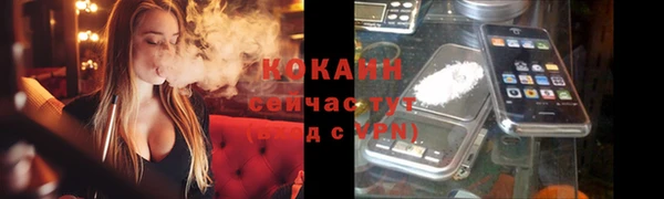 дживик Балахна
