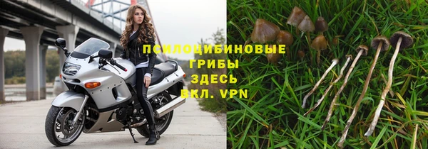дживик Балахна