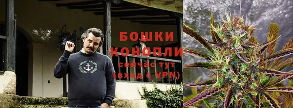 дживик Балахна