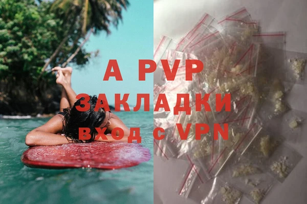 дживик Балахна