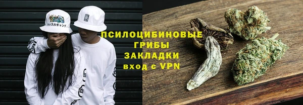 дживик Балахна