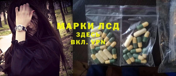прущие грибы Гусиноозёрск