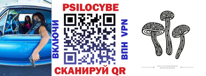 где найти   Белёв  Псилоцибиновые грибы Psilocybine cubensis 
