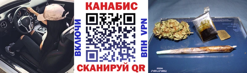 Бошки Шишки планчик  мега ТОР  Белёв 